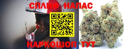 PSILOCYBIN Кингисепп