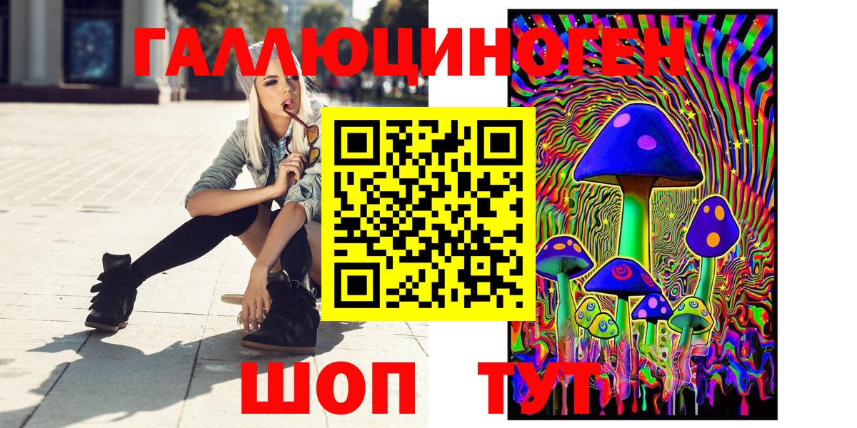 Псилоцибиновые грибы GOLDEN TEACHER  Псилоцибиновые грибы Magic Shrooms  Котлас  что такое наркотик  Вход с VPN 